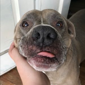 Meet your Posher, Lilly